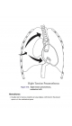 Explore Adult CCRN Exam Premium in PDF format.